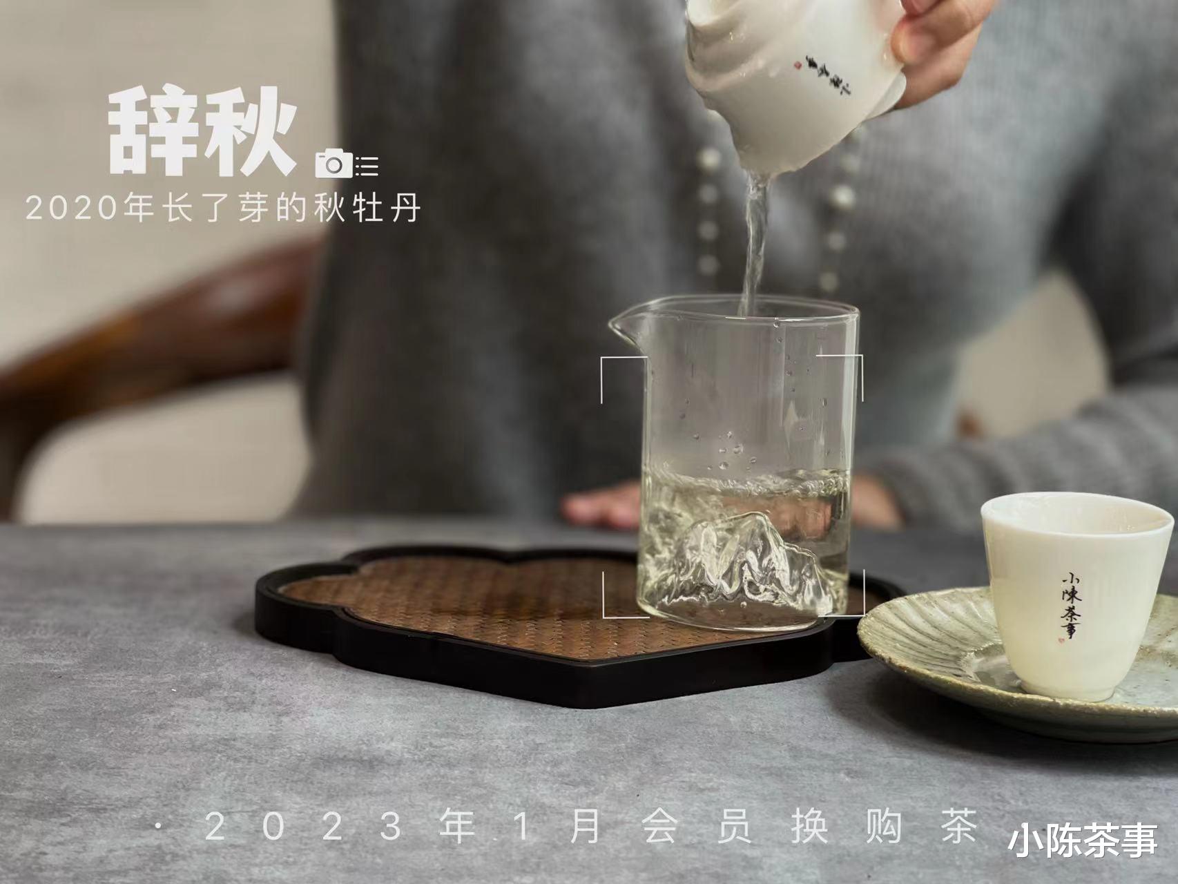 清肺排毒汤|绿茶、白茶、红茶泡多少次,才算不浪费?3次、5次,还是10次?