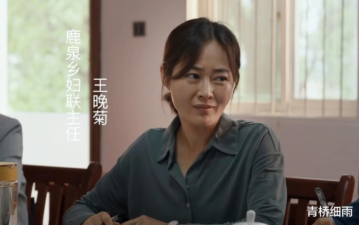 县委大院|《县委大院》：这三个女性，是剧中不可多得的亮点