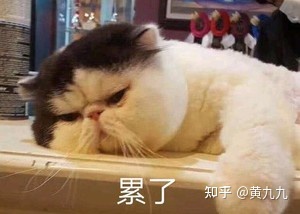 WWDC|(干货)写爬虫的你一定有类似经历
