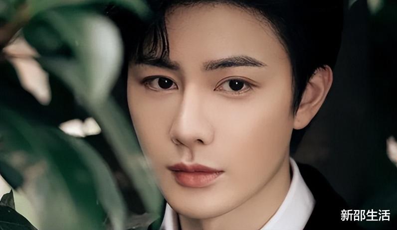 金晨|演艺圈“花式鼻子”大比拼，又尖又翘又吓人，一个比一个精彩