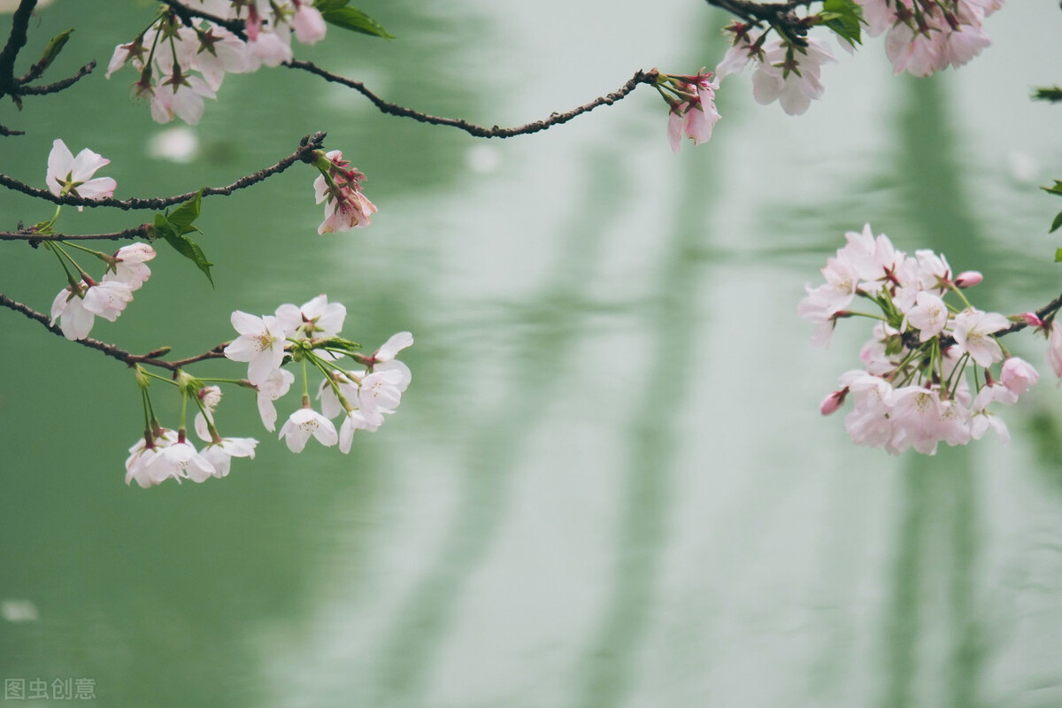 |心情随笔，江南，我喜欢这样的雨
