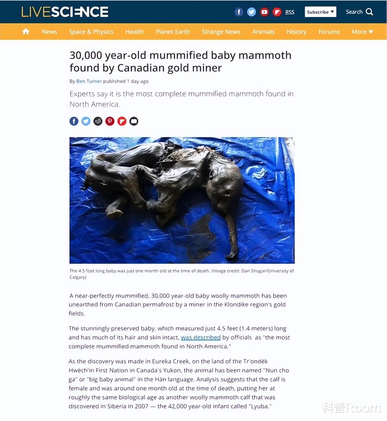 北美挖出3万年前的生物尸体,长1.4米、毛发完整,人类该警惕了吗