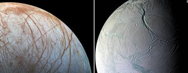 “几乎肯定”?木星卫星的海洋中,生活着章鱼般的外星生物