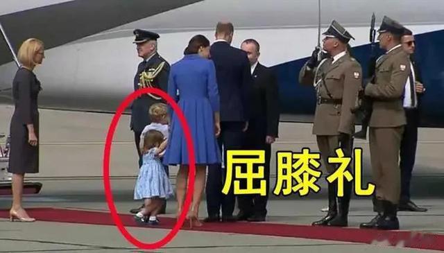 夏洛|夏洛特软萌可爱,有女王风范,深受民众喜欢,蓝眼睛独一无二