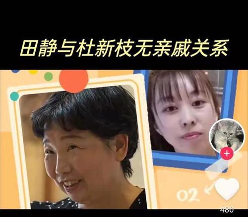 |杜粉：田静想杜妈了。网友：命里没儿不能强求
