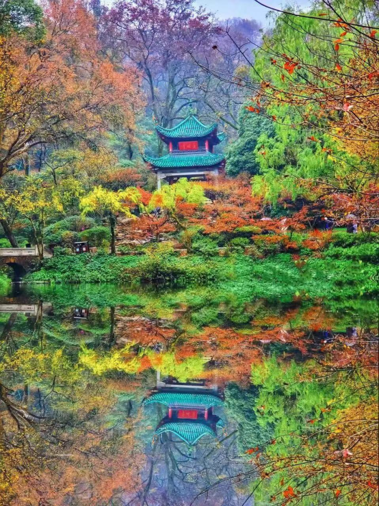 住房公积金|被央视点名,让炒房客“有去无回”,这一次长沙又要出名了!