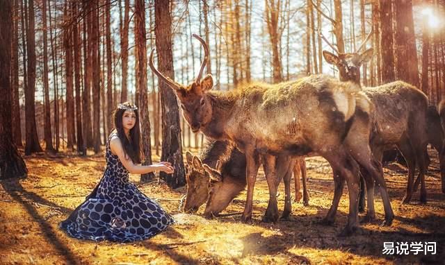 |职场观察——职场中的冷眼旁观者，头脑清醒但却成不了主角