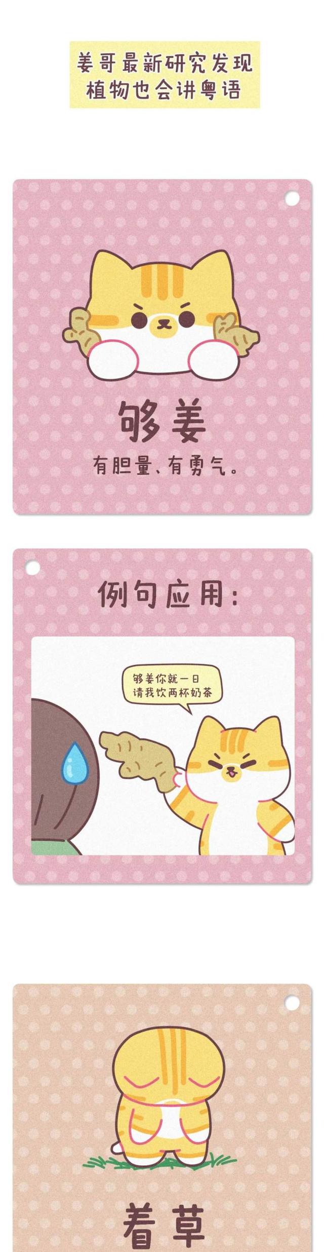 走！出门整点光合作用