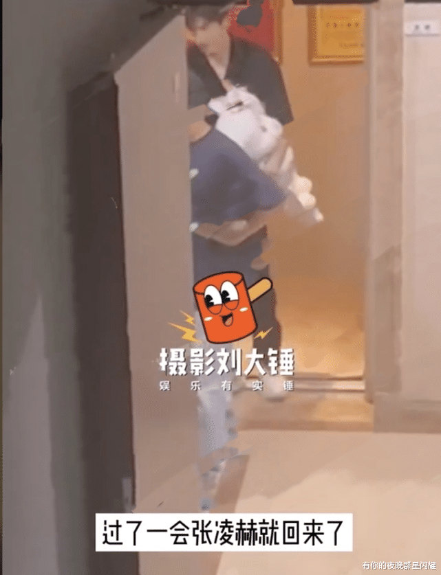 白梦妍|因戏生情？白鹿两次在张凌赫家中过夜，于正疑似辟谣两人恋情