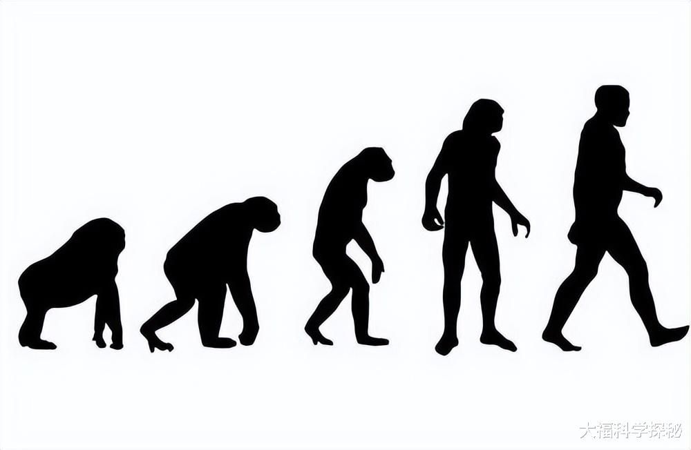 人类是入侵地球的外来物种吗?列举人体的多种特点,与地球不匹配