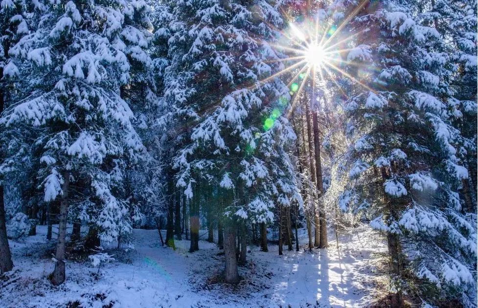 小红书|想和你再见一面,在新疆的冬天