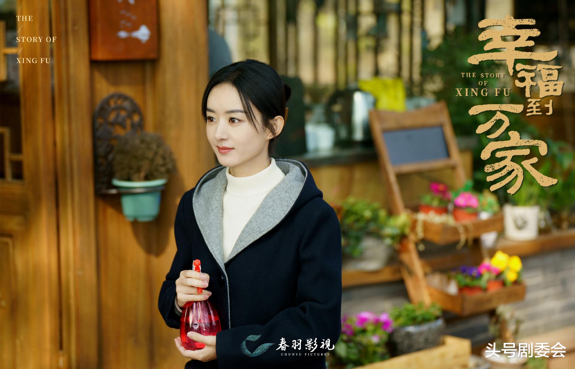 万传家|《幸福到万家》大结局：万传家坐牢，王秀玉上大学，何幸福当书记