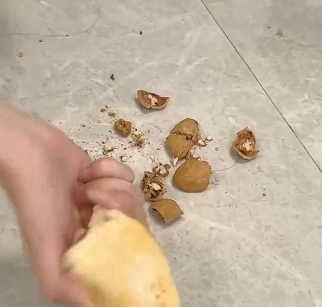 湖北一女生收到妈妈做的馒头,咬了几口没咬动,随后轻松砸开核桃