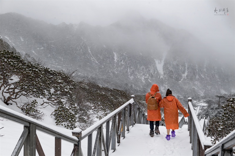 清明节|清明遇上苍山雪 山巅美景引客来！