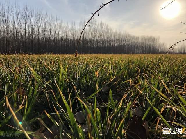 |2022上海首轮土拍全面收官,零流拍,给普通老百姓四点启示