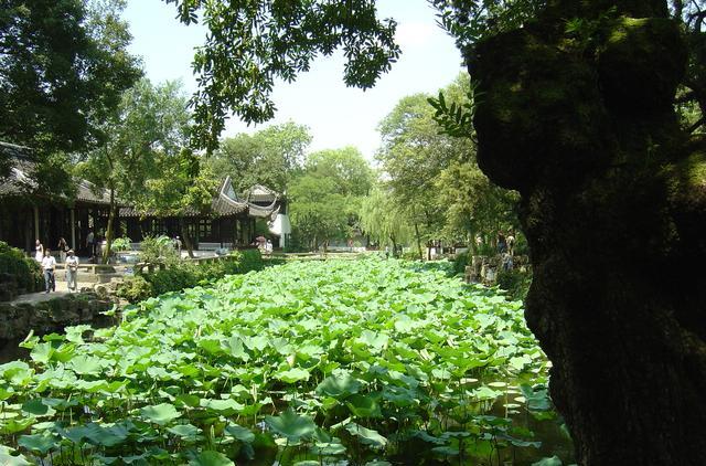 草原|曾多达271座的苏州园林，在如今完好的60多座中，哪几座最经典？