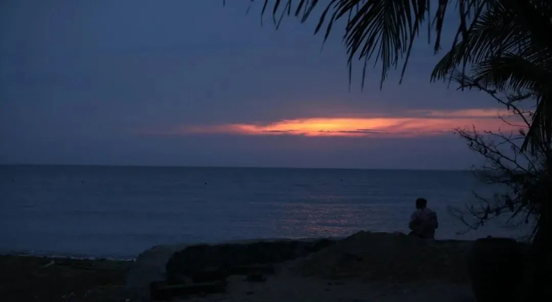 食物中毒|十年失眠自愈者的分享:花钱也买不到的经验和方法,助你战胜失眠