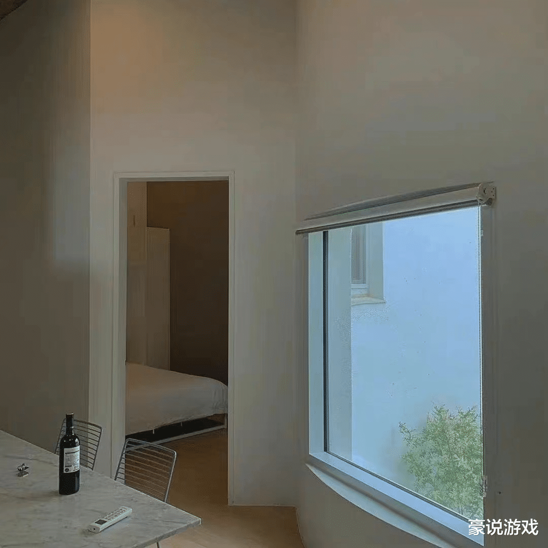 孟羽童|被董明珠选中接班人孟羽童,把野心写脸上,是女生应有的状态