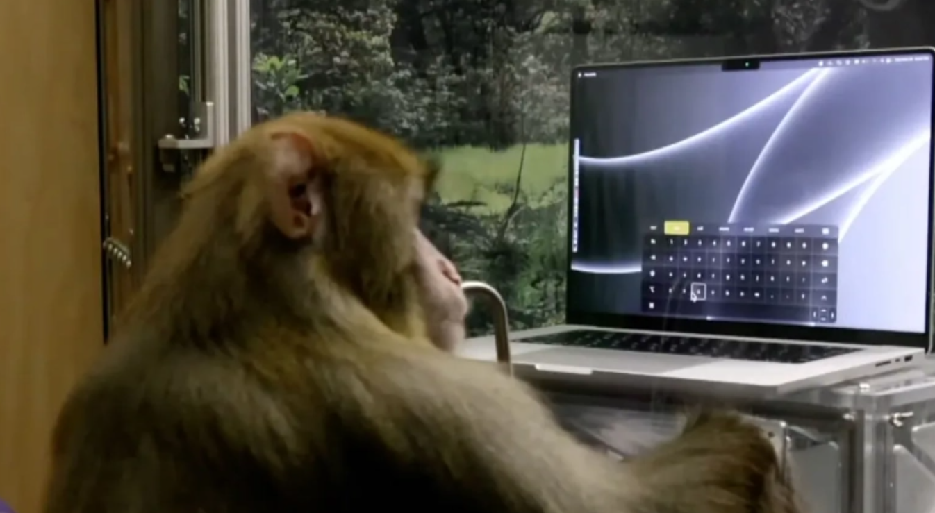 伊隆·马斯克|黑客帝国重现？马斯克脑机公司将开展人体试验：有点疯狂