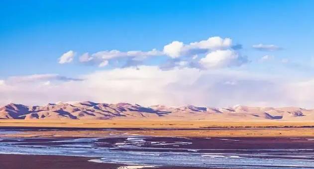 野生动物|夜宿可可西里无人区,为何天黑后不能烧火取暖,原因令人不寒而栗