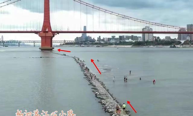 |长江到底有多干？六旬老人唏嘘说从未见过，只有钓鱼人最开心？