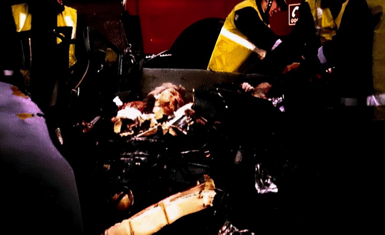 布鲁克林|戴安娜：一位离婚王妃的葬礼，场面盛大名流云集，威廉哈里最受伤