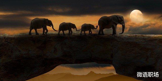 |下班后该如何提升自己,5大途径,职场精英都在经营最后一项(建议收藏)