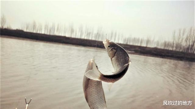 饵料|初春钓鱼这样搭配线组,鱼吃口清晰,竿竿有鱼