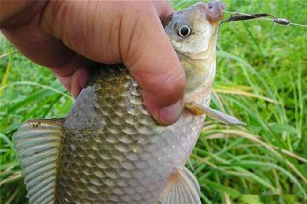 |钓鱼的时候，你要关注的不仅仅是技巧，还有其他的事项吗？