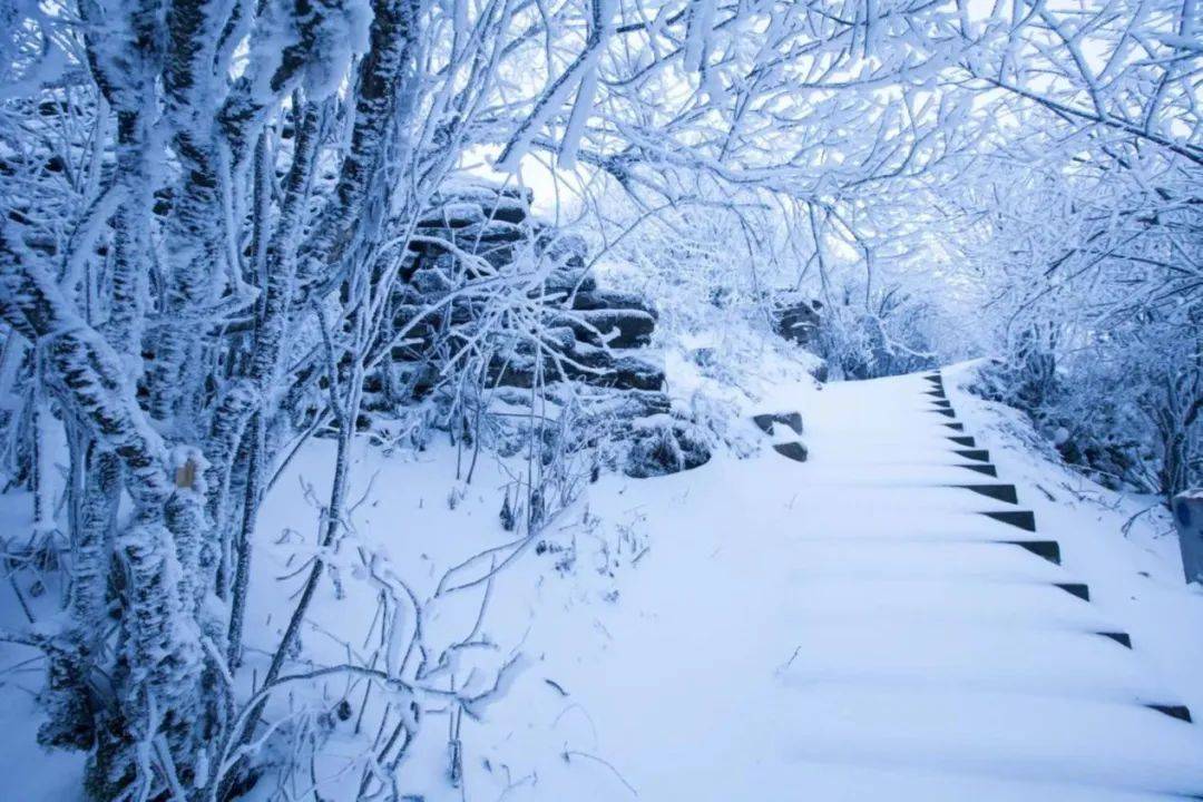 光雾山|冬天的光雾山期待你来！大坝雪场蜕变升级，滑雪嬉雪“华丽变身”