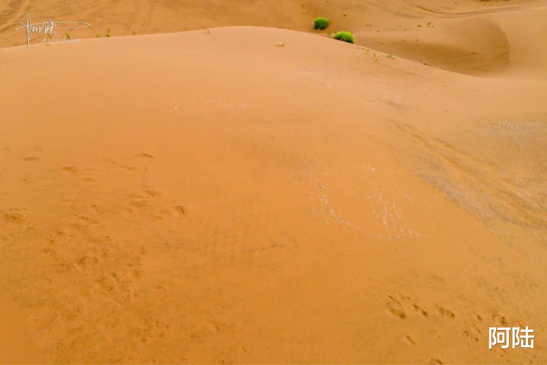 宁夏|在八月的宁夏沙漠遇见大风大雨，航拍视角下，竟然也有星点绿意