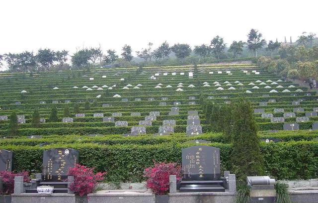 商品房|公墓使用权只有20年，如果后代不续费，会如何处理？