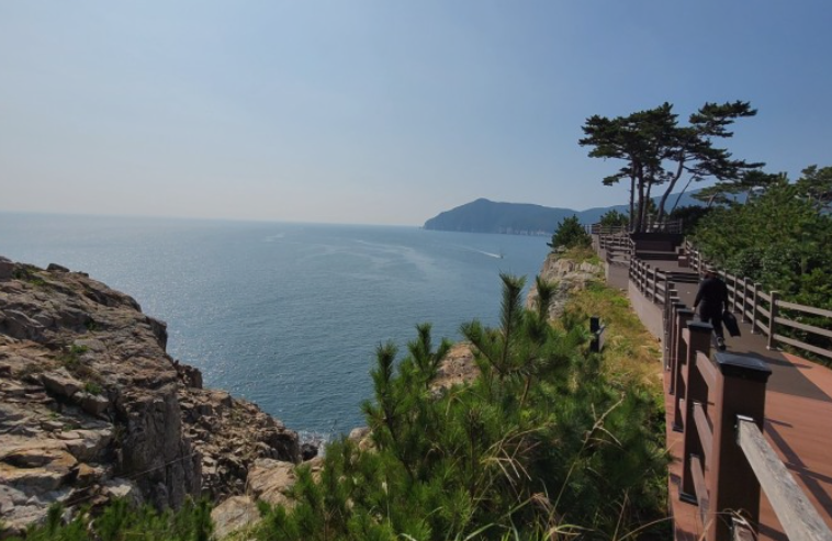 雅安|春日的开始与山茶花一起散步的岛屿——知心岛