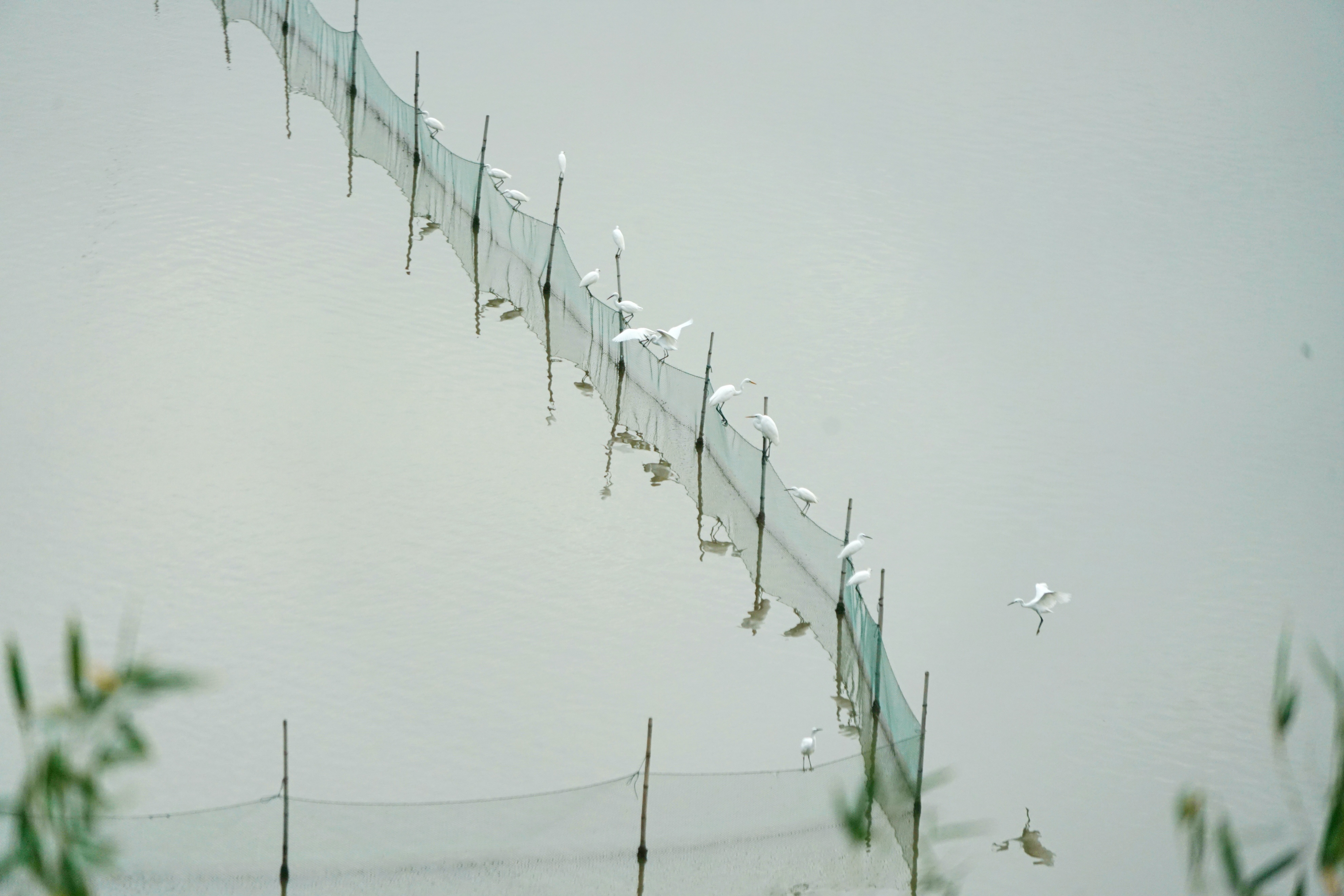 浙江省|界牌村,浙江最南渔村,景美人少,“半野生”大黄鱼游向四方