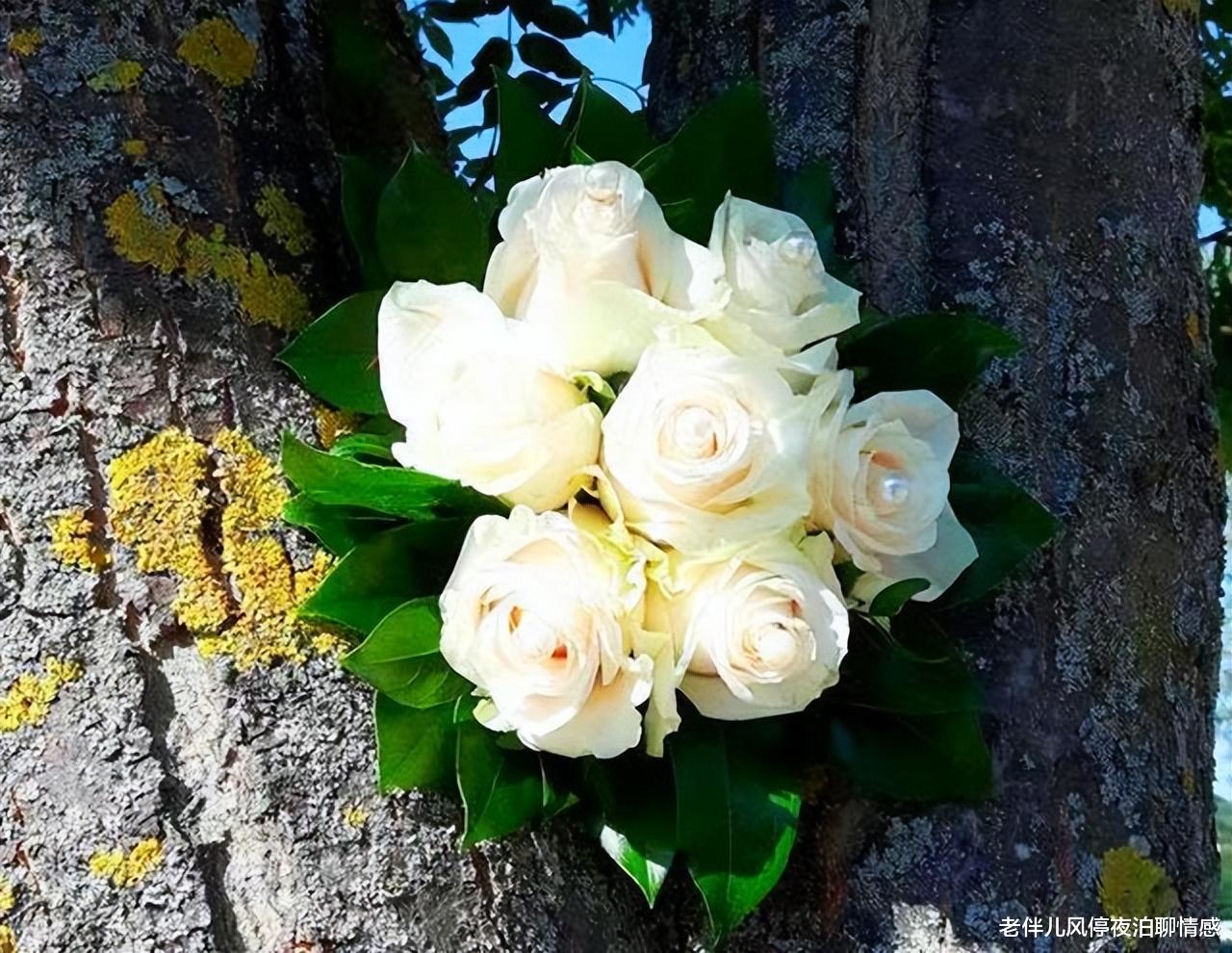 蜗居|《蜗居》：再出色的第三者，不幸的结局也是必然！