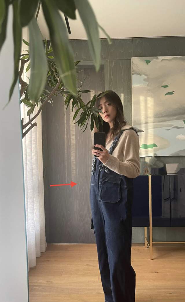 孙莉|黄磊老婆孙莉疑高龄怀四胎！肚大如球孕味十足，眼神迷离面容憔悴