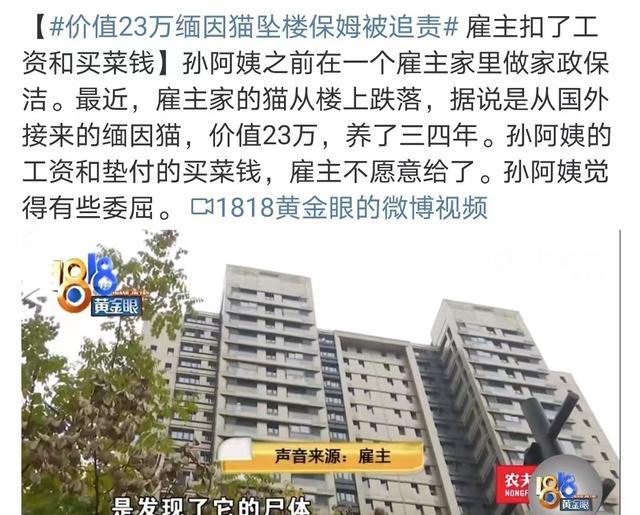 23万缅因猫坠亡，保姆被追责抵扣9000块钱，保姆：我是一个大冤种