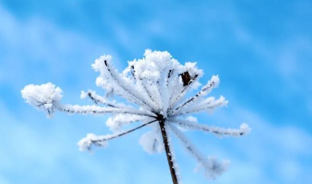 银装素裹分外妖娆，送你6个雪景摄影技巧，留住雪后惬意时光