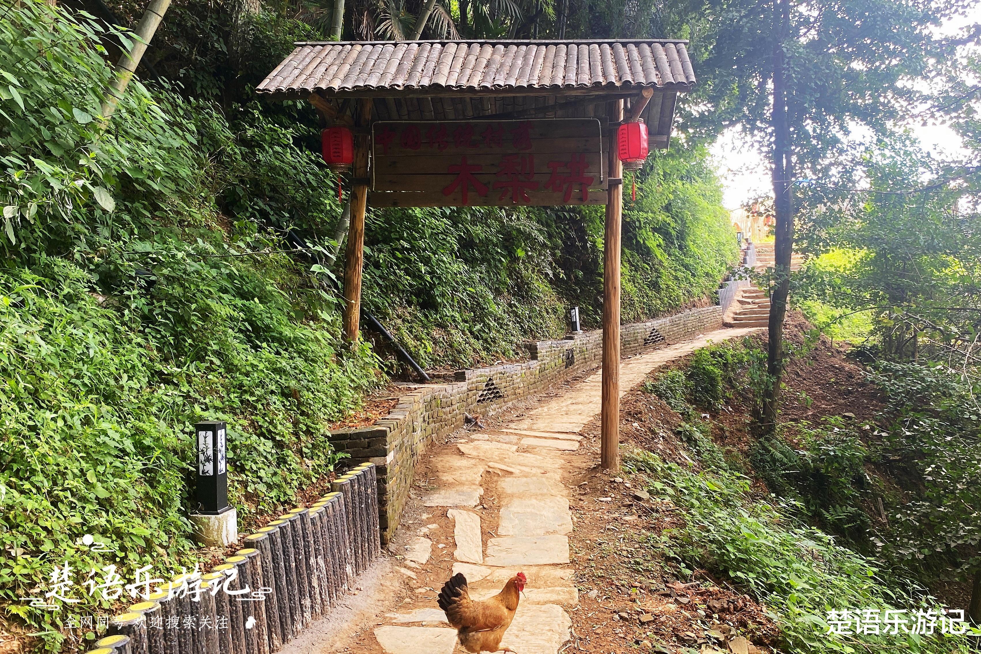 自驾|突然窜红的徽派山村，被称为黄山最美的高山村落，被称为天空之城