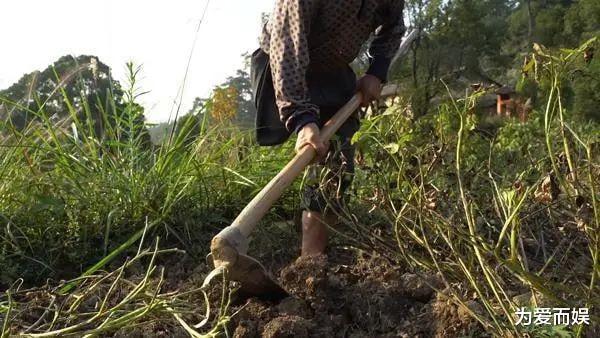 范小勤|没想到,被大老板“退养”一年后,小马云竟变成了这样