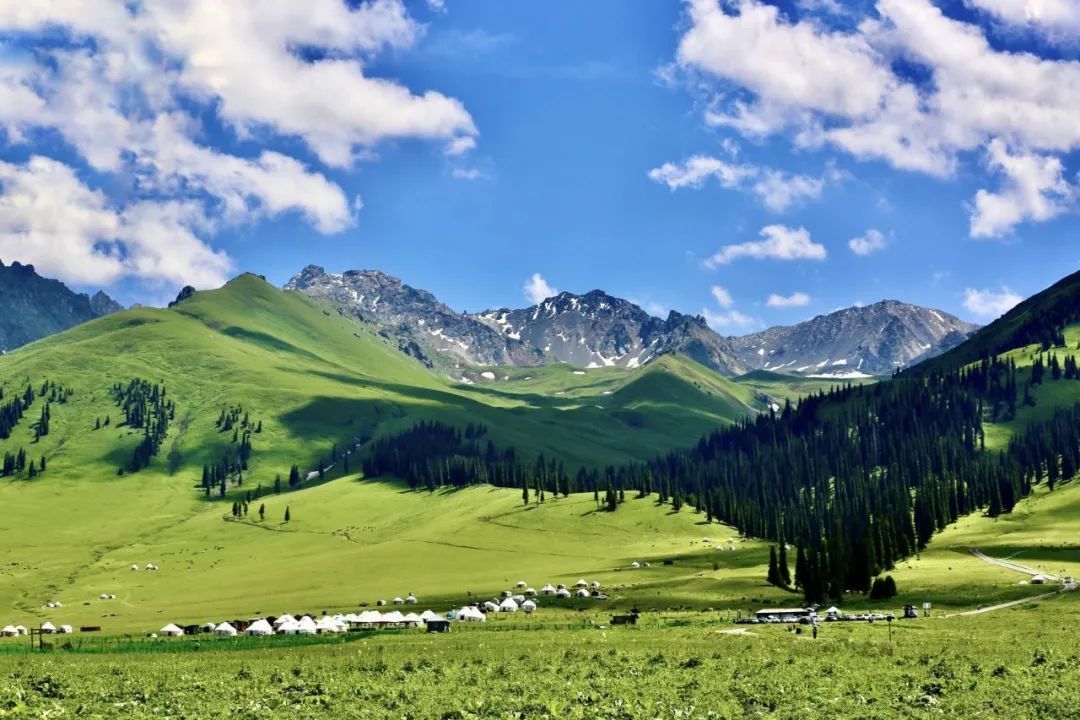香港|草原季即将开启,如何选择最适合你的草原?