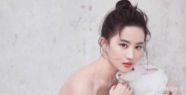 综艺节目|八位宣称不上综艺节目的男女明星，有一位被打脸了