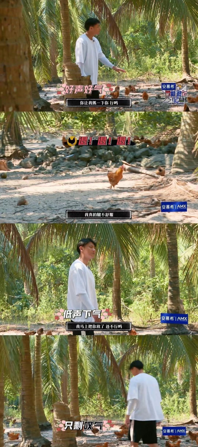 |《新游记》黄子韬再现抓鸡名场面！无障碍交流被网友调侃
