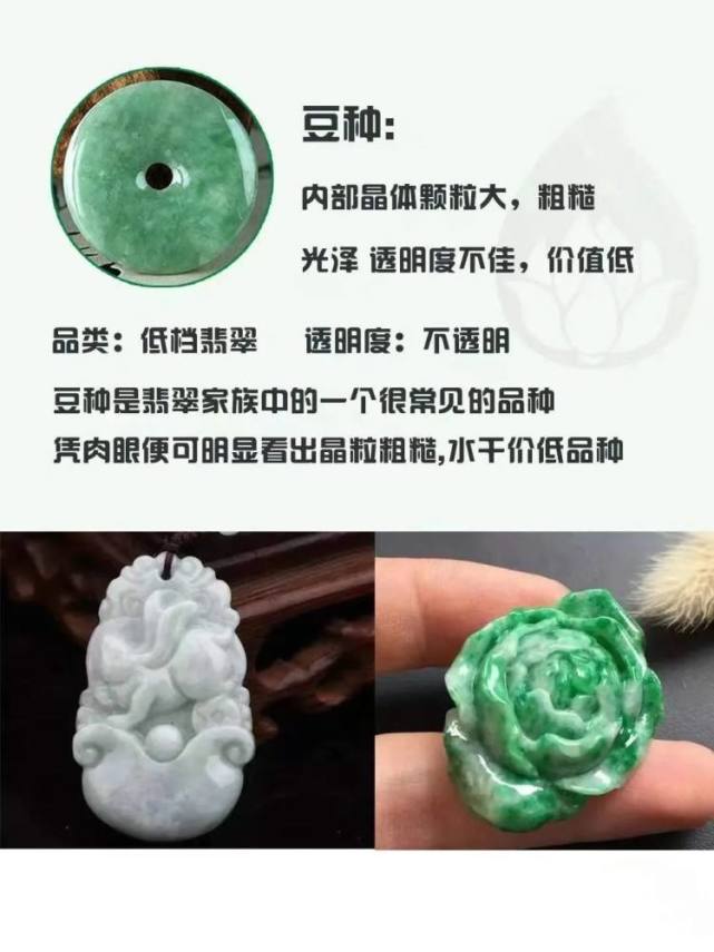 翡翠|知道「豆糯冰玻」就算行家？殊不知老种翡翠和嫩种翡翠才是关键