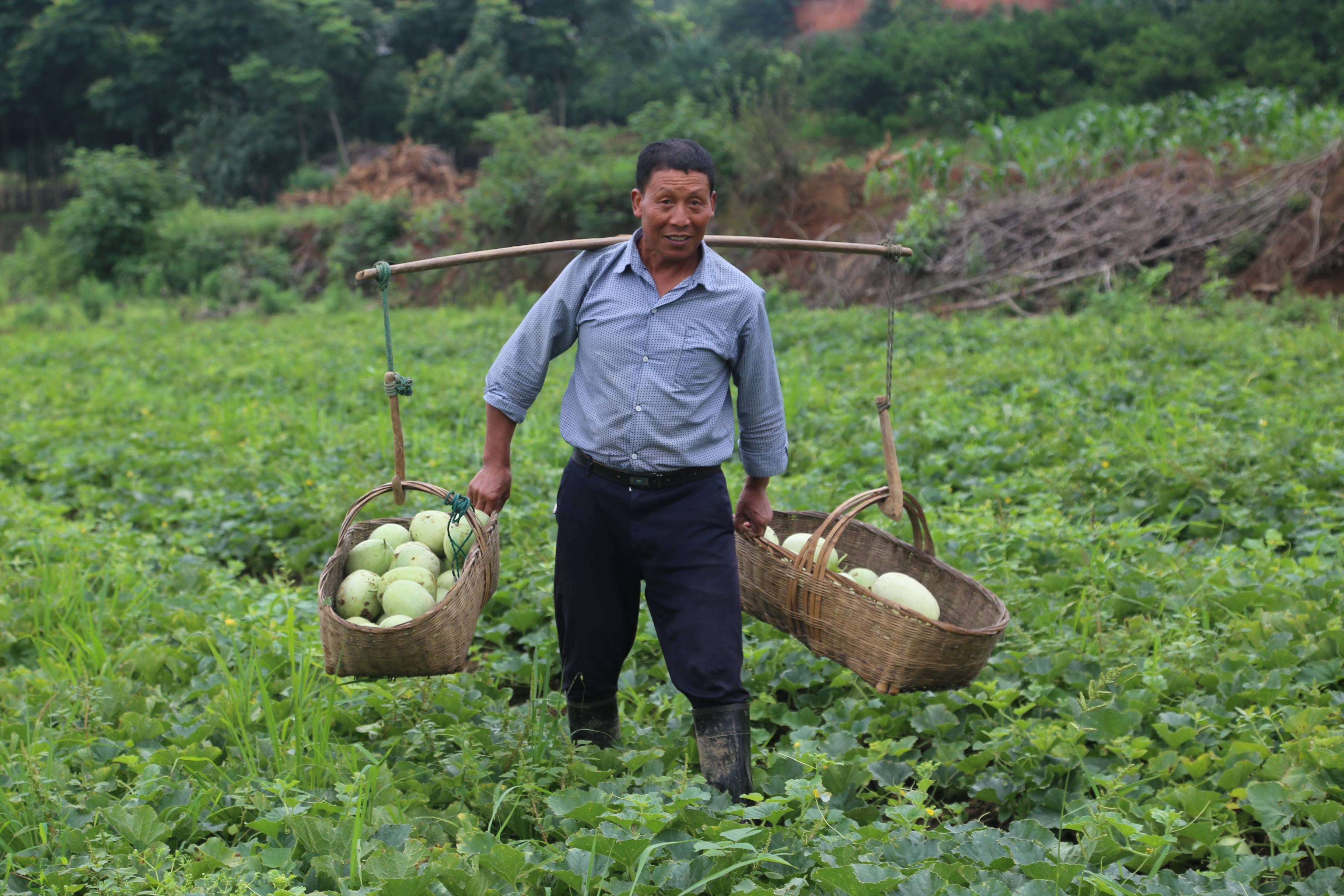|为什么农民的孩子几乎都不愿意种地做职业农民？