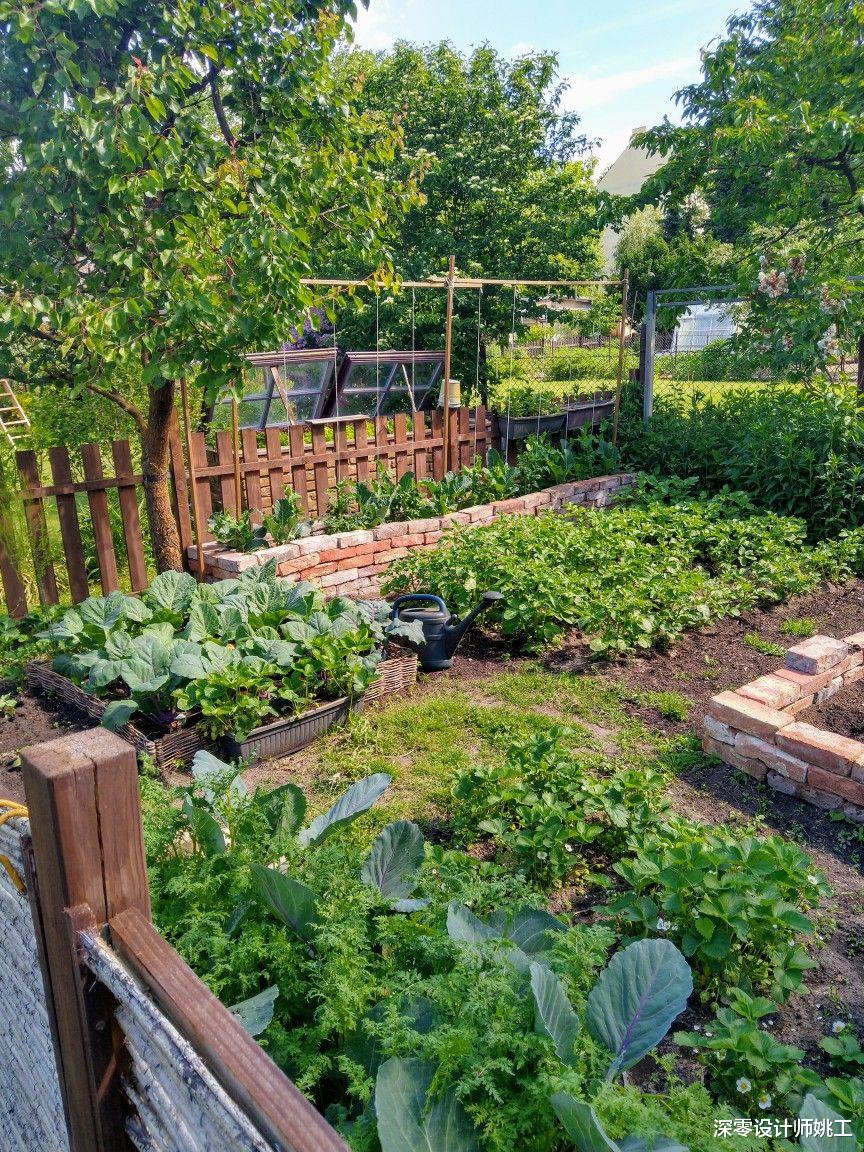 老一辈的人就是闲不下来,家里附带的院子,他们也给拿来养花种菜