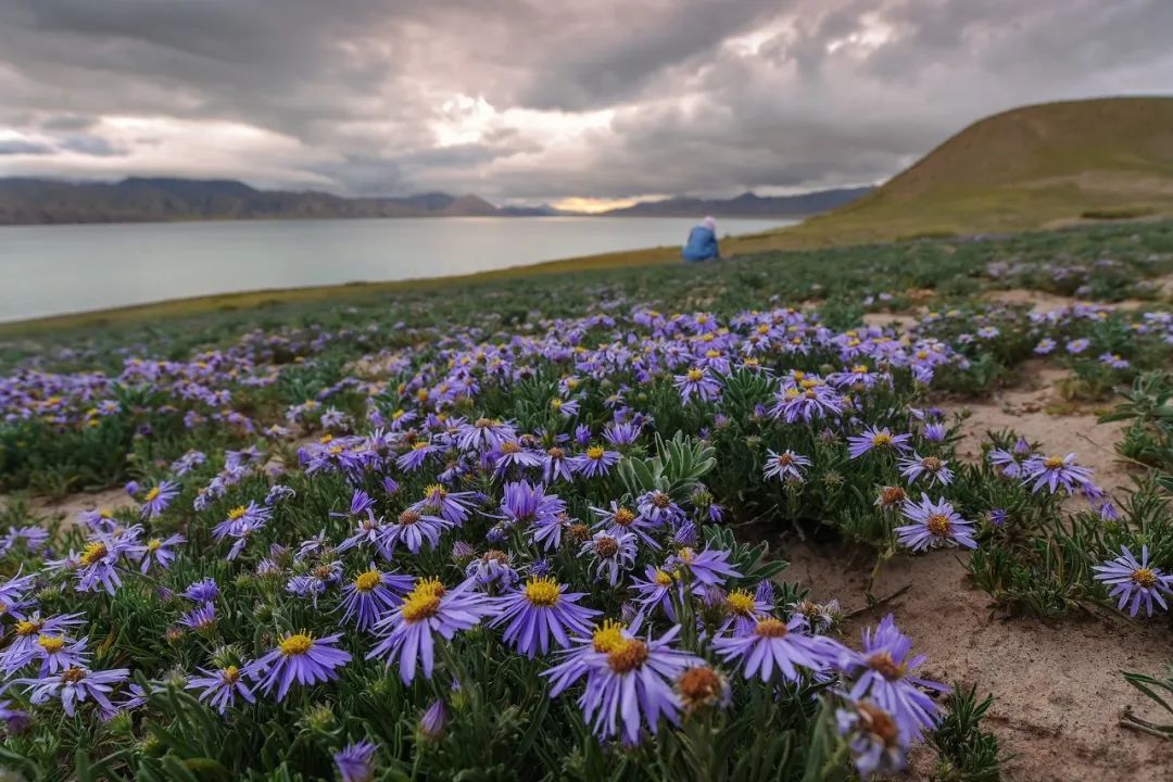 高原|中国第五大无人区哈拉湖、天峻石林、海西,越野穿越、露营、摄影