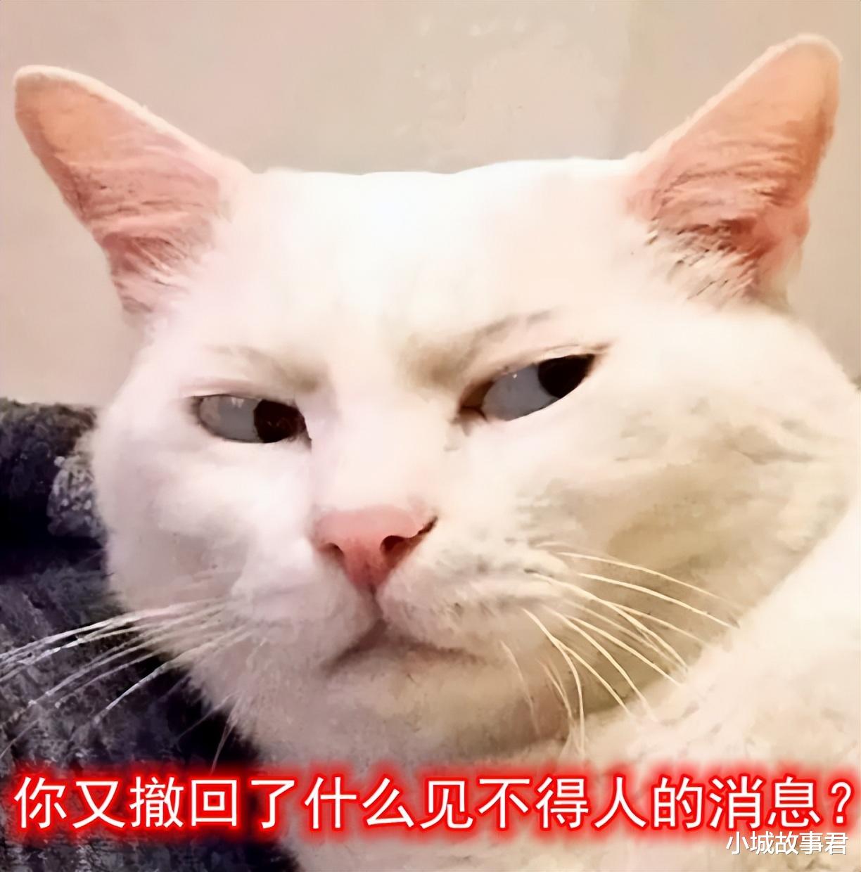 微信|微信新功能遭吐槽,以后怎么假装没看到?网友热议哪些功能该增减