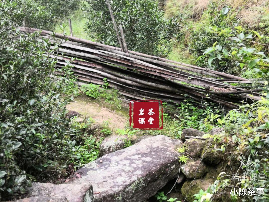 武夷山|章堂涧、古崖居、鹰嘴岩，现场实拍图还原，3分钟带你认识慧苑坑