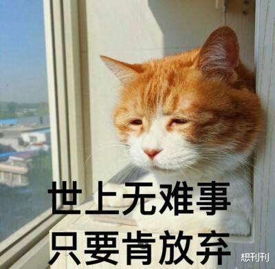 吴倩|这么多内娱女星上赶着倒贴渣男!全网都拉不住她们到底怎么想的?